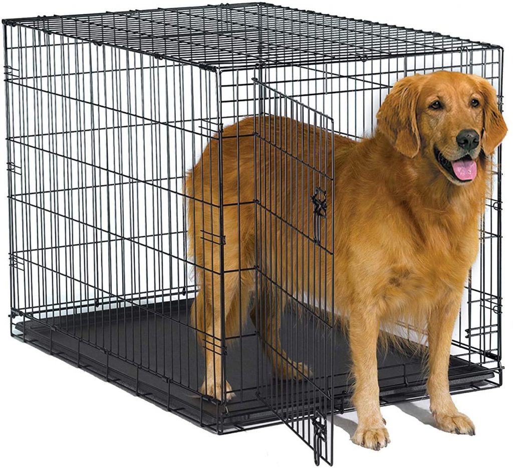 Best Dog Crate For a Goldendoodle Top 9 Picks!