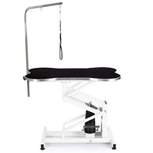 Pet Edge master Equipment Hydraulic Pet Grooming Table