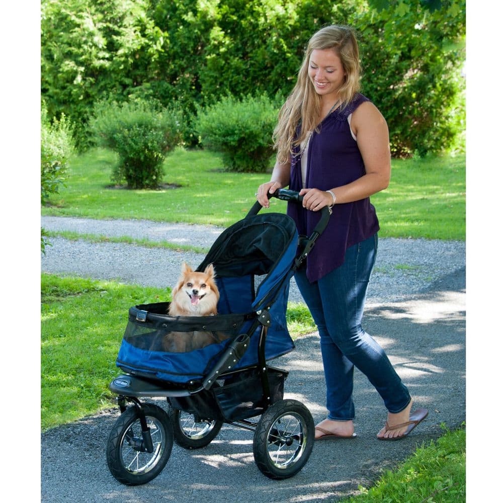 Best Dog Stroller for Hiking Top 9 Picks! (2024) We Love Doodles