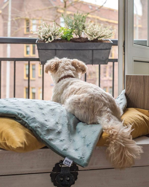 Best Pet Hair Resistant Blanket Top 8 Picks!