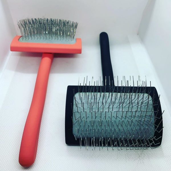 Best Dog Brush for a Goldendoodle (2024) Top 8 Picks! We Love Doodles