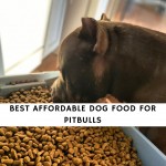 Best Affordable Dog Food for Pitbulls
