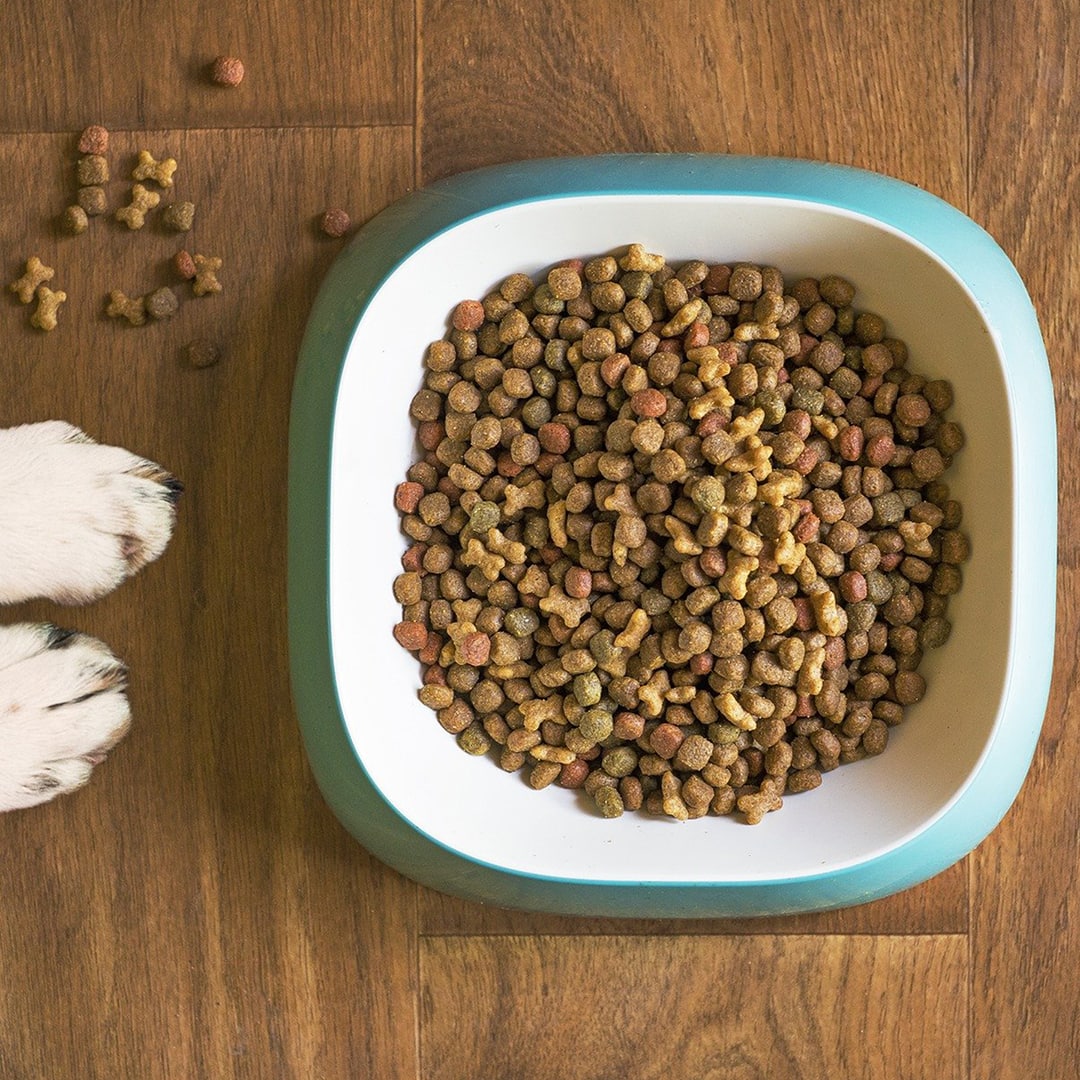 Best Dog Food with Vitamins and Minerals Top 5 Picks!