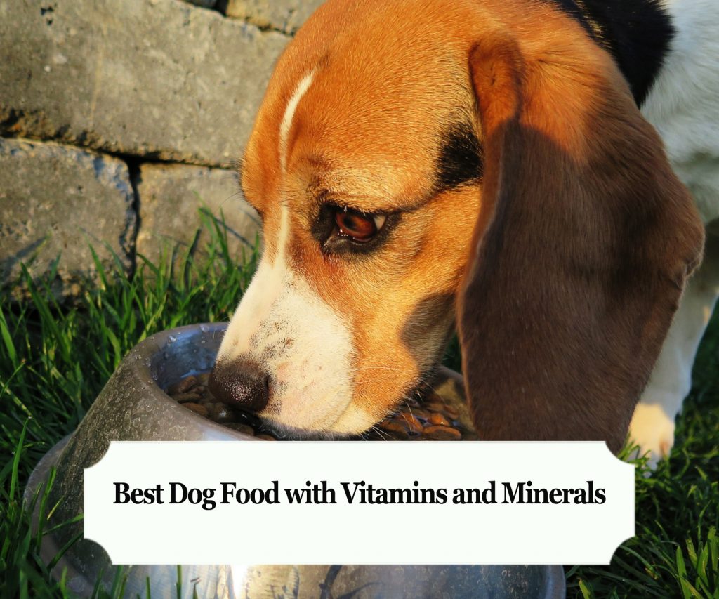 best dog vitamins and minerals