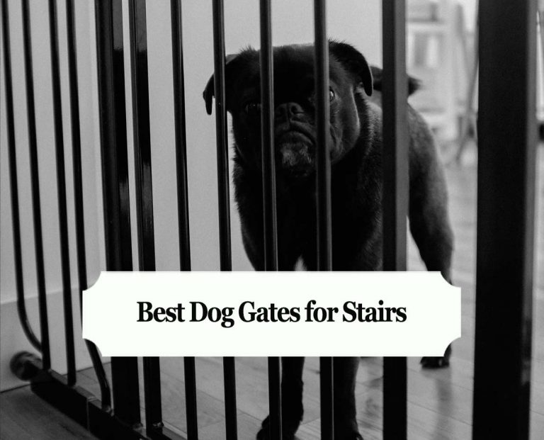 Buying Guides 670 Best Dog Gates for Stairs