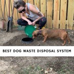 Best Dog Waste Disposal System