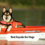 Best Kayaks for Dogs