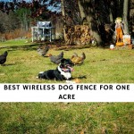 Best wireless dog fence for 1 acre
