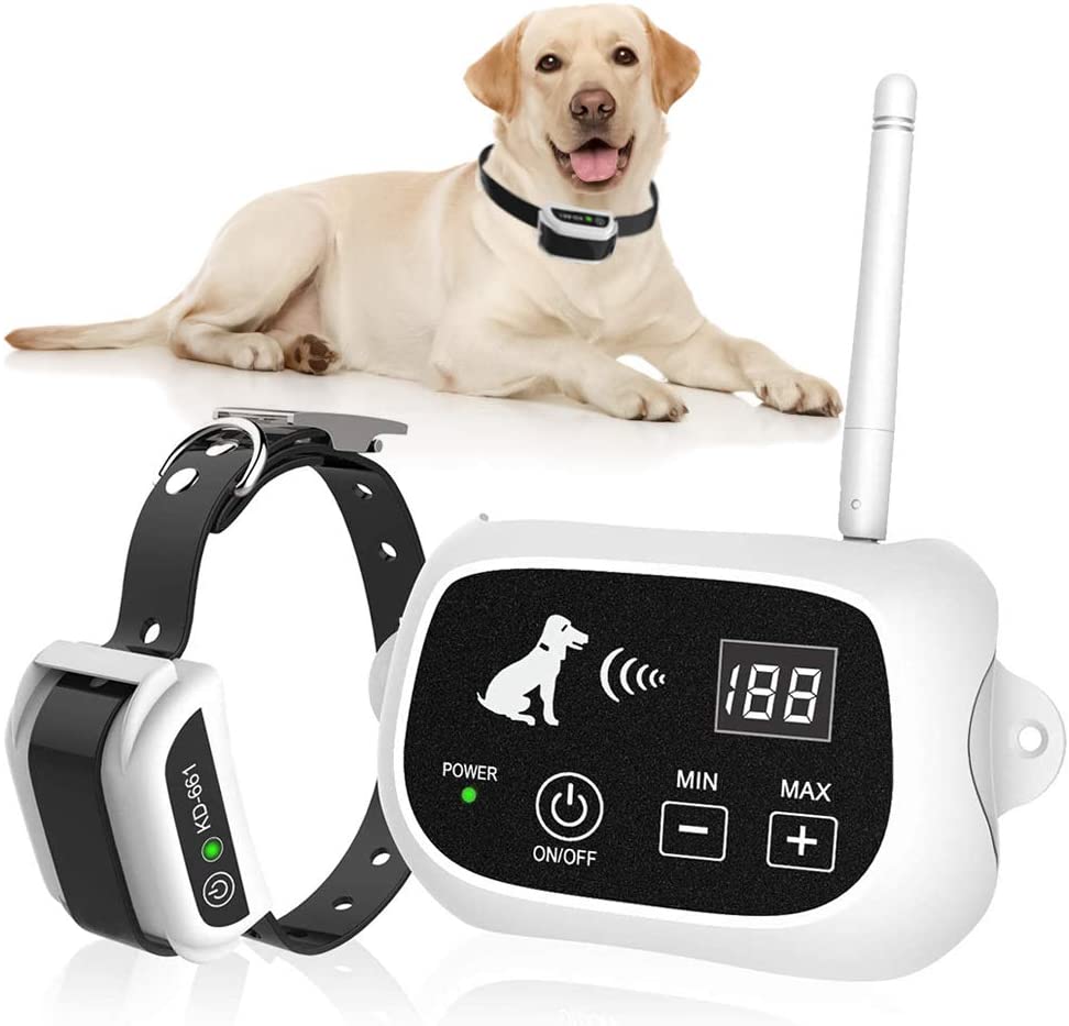 Picture of Best Dog Containment System - Top 8 Picks! - We Love Doodles