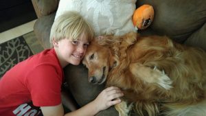 4 Best Golden Retriever Rescues In California 2021 We Love Doodles