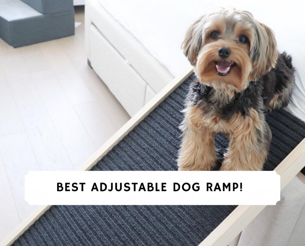 what is a good angle for a dog ramp