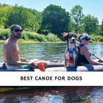Best Canoe for Dogs