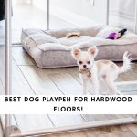 Best Dog Playpen for Hardwood Floors
