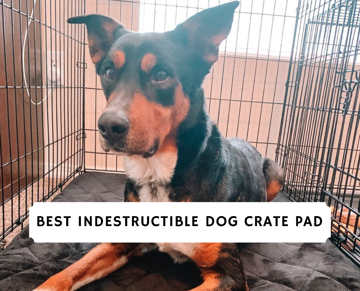 indestructible kennel mat