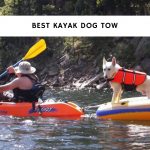 Best Kayak Dog Tow