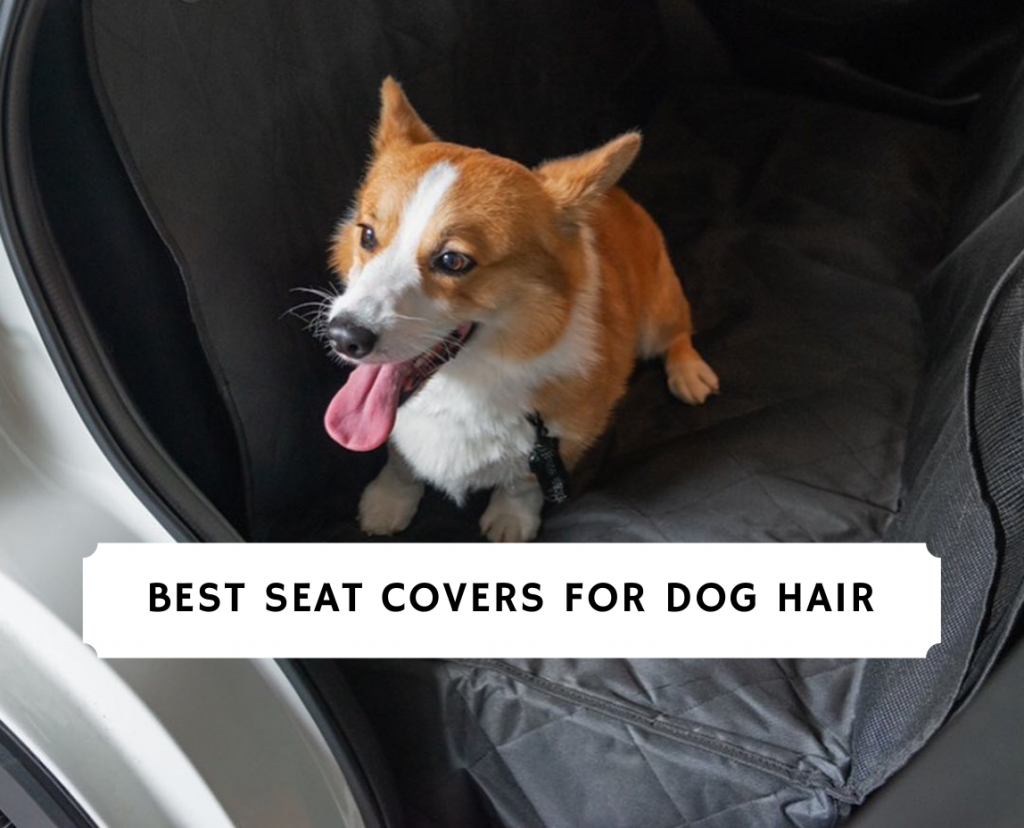 5 Best Seat Covers For Dog Hair (2022) - We Love Doodles