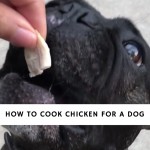 How to cook chicken for a dog