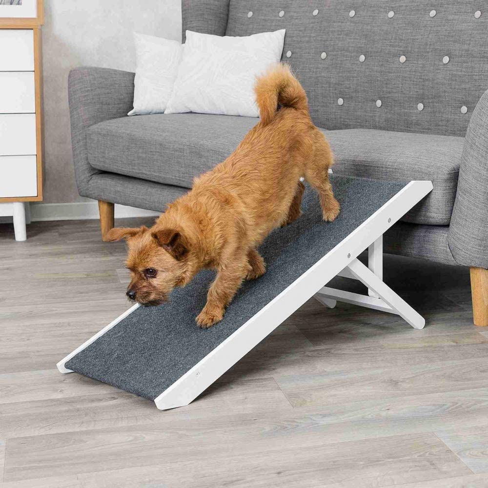 Best Adjustable Dog Ramp Top 9 Picks! (2024) We Love Doodles