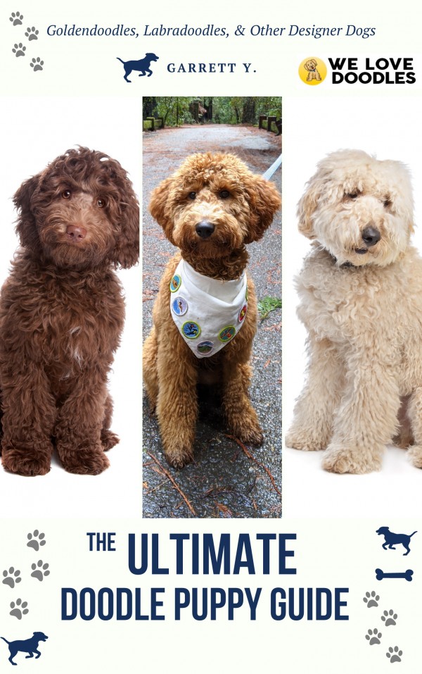 the ultimate doodle puppy guide cover