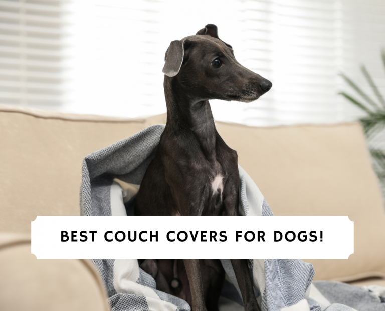 5 Best Couch Covers For Dogs 2024 We Love Doodles   Best Couch Covers For Dogs 768x621 