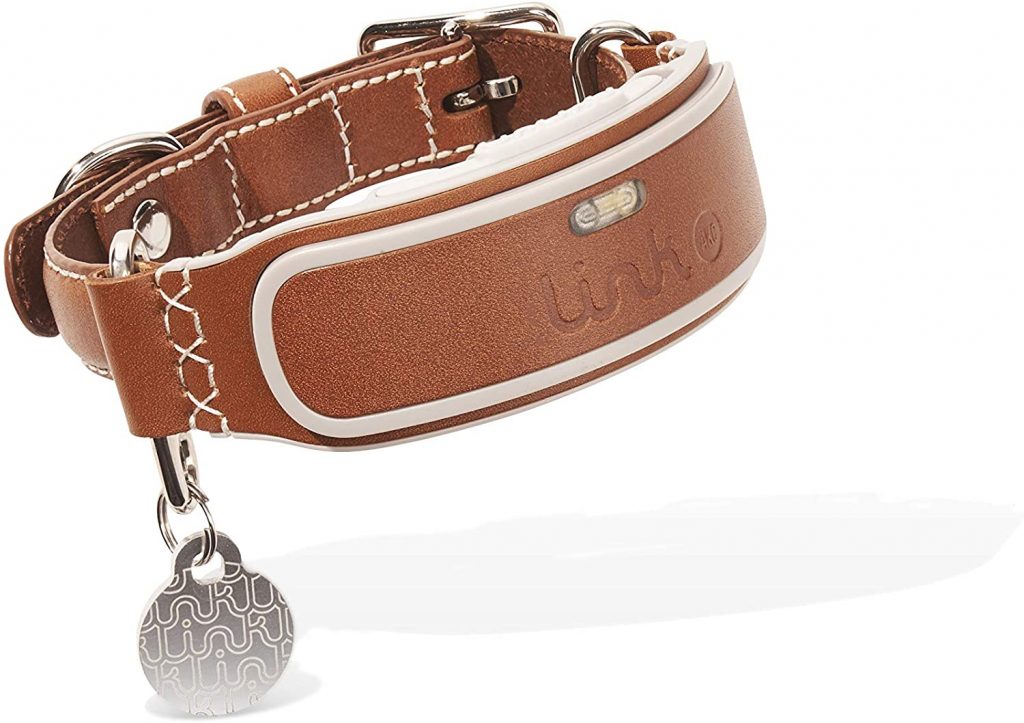 6 Best Dog Collars for Goldendoodles!