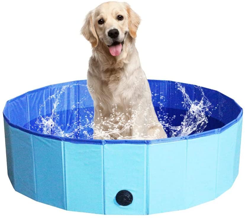 5 Best Puncture Proof Dog Pools!