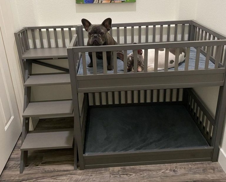 Best Dog Bunk Bed Top 7 Picks!