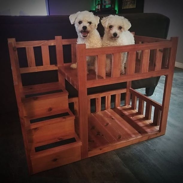 Best Dog Bunk Bed – Top 7 Picks!