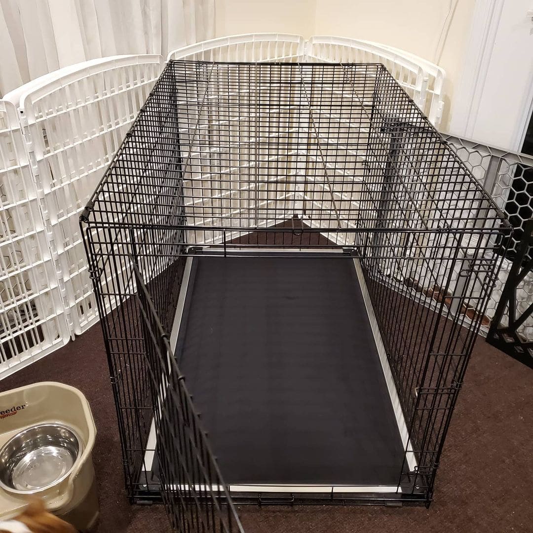 8 Best Indestructible Dog Beds for Pitbulls! (2023) We Love Doodles