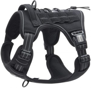 Best Harness for a Labradoodle – Top 7 Picks!