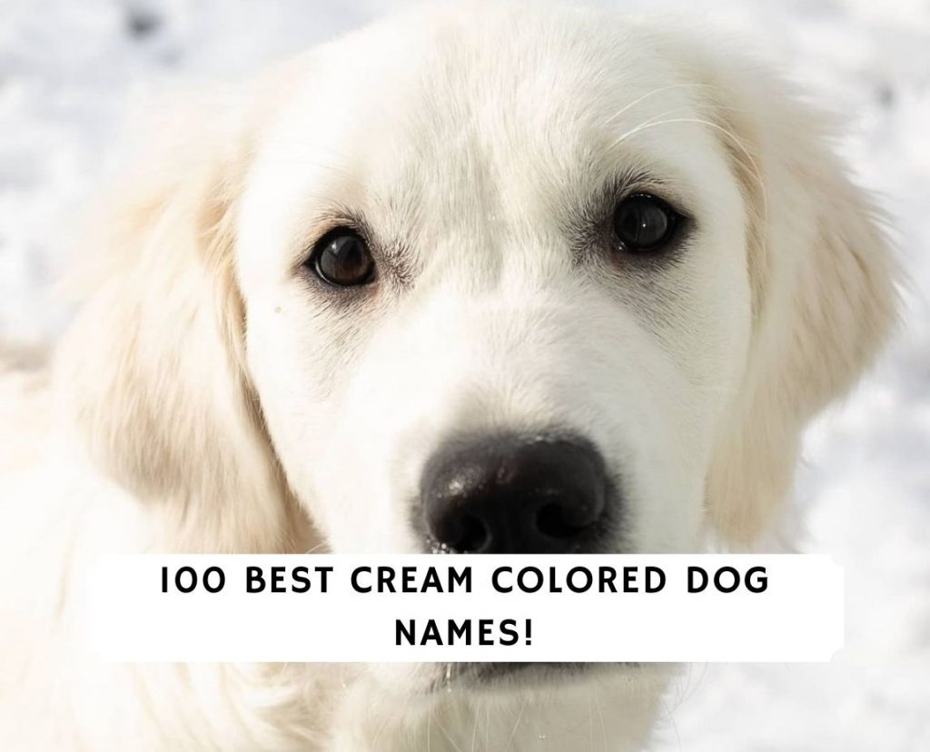 creme color names