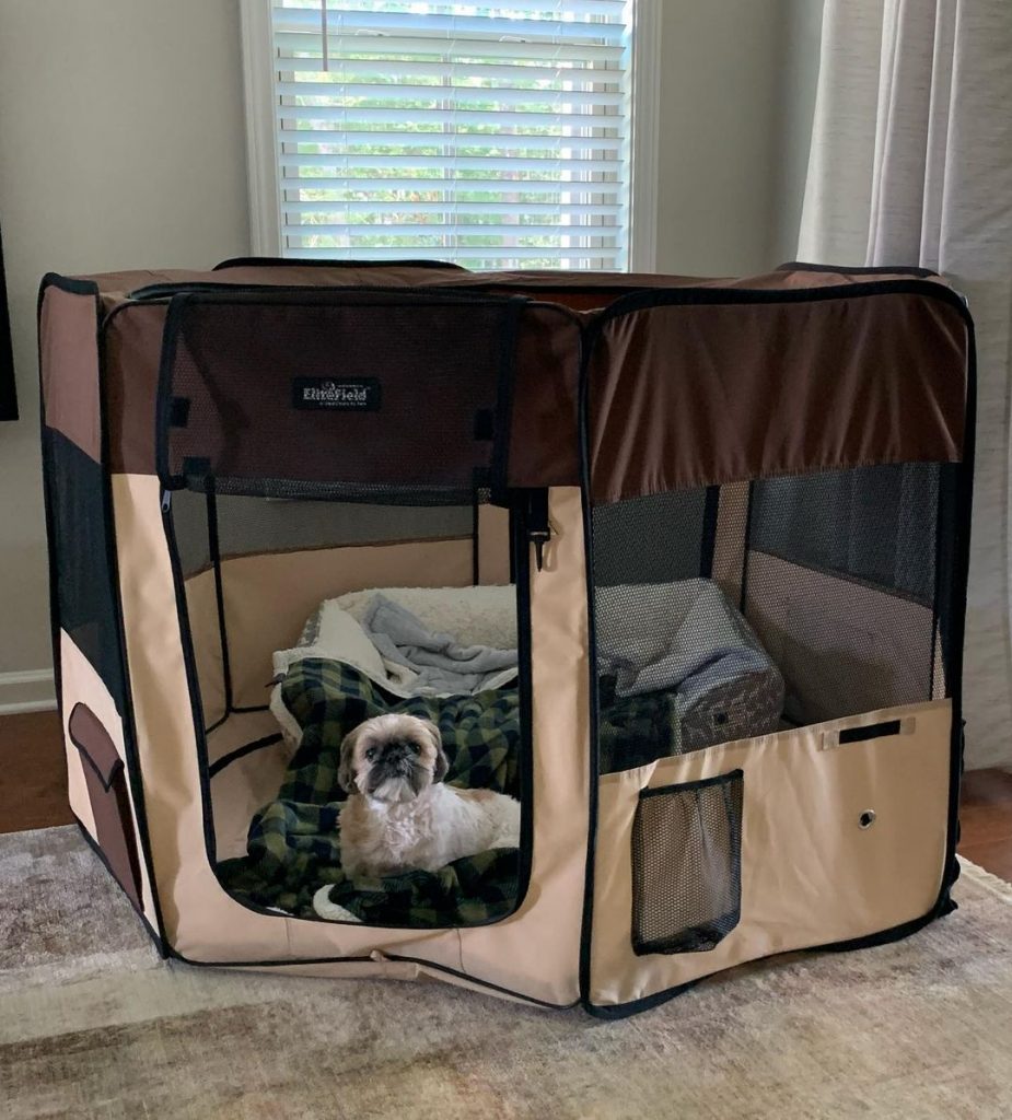 Best Indoor Dog Pen with Floor Top 8 Picks!