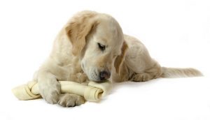 What are the benefits of rawhide and beefhide