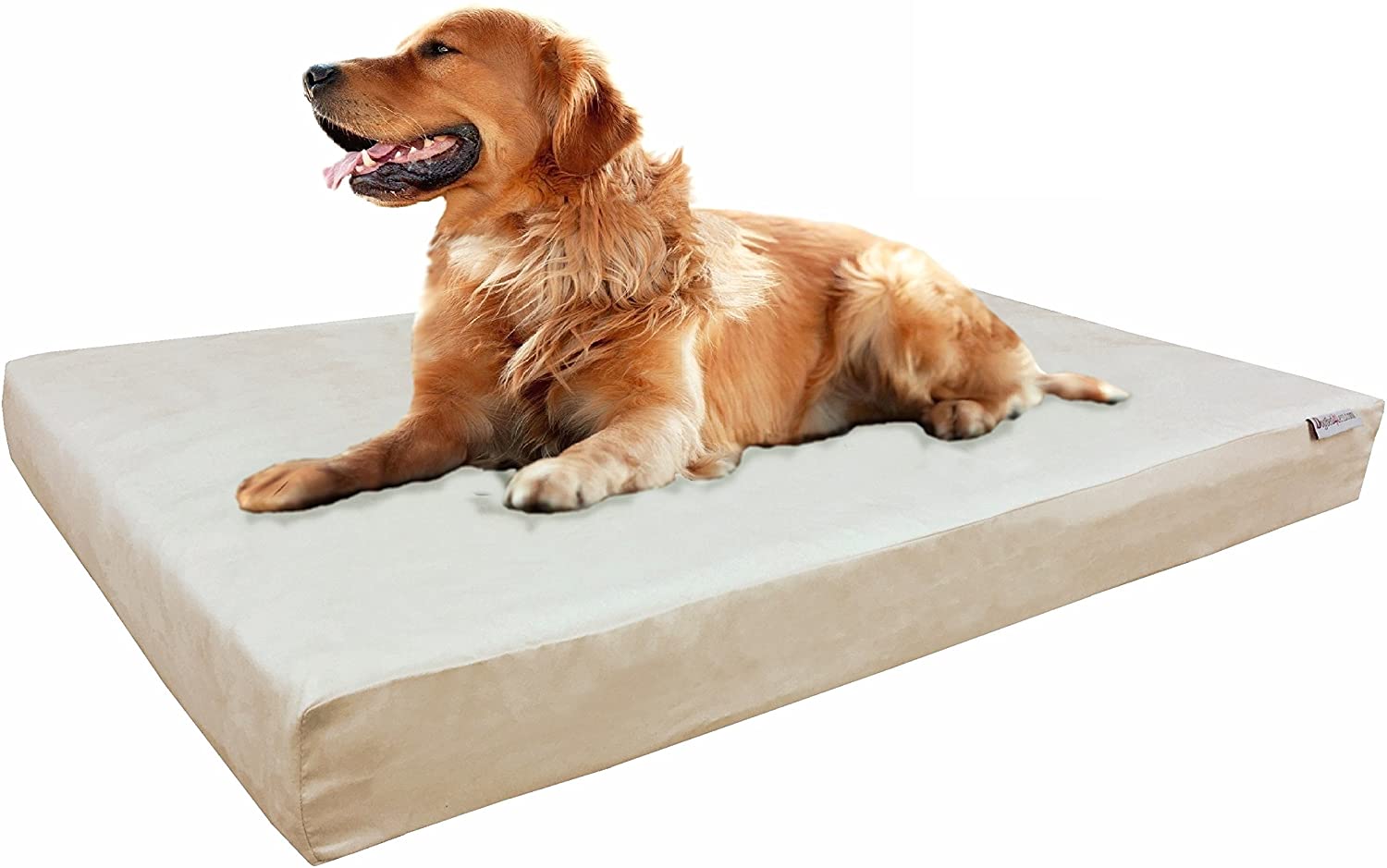 Best Dog Bed for a Top 6 Picks!