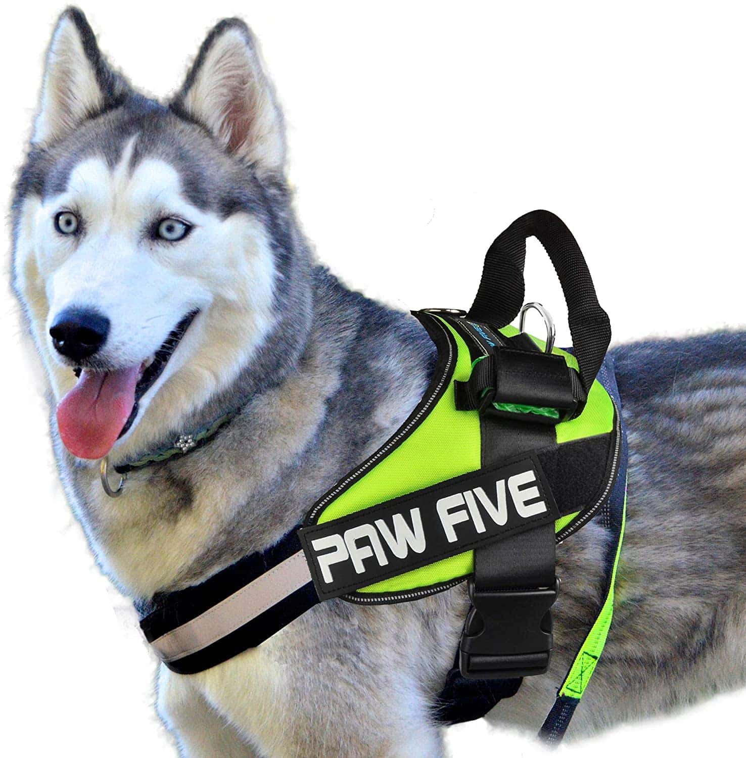 The 5 Best AntiJump Dog Harnesses! (2024) We Love Doodles