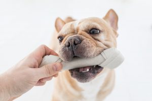 What are substitutes for beefhide rawhide treats