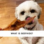 What is Beefhide