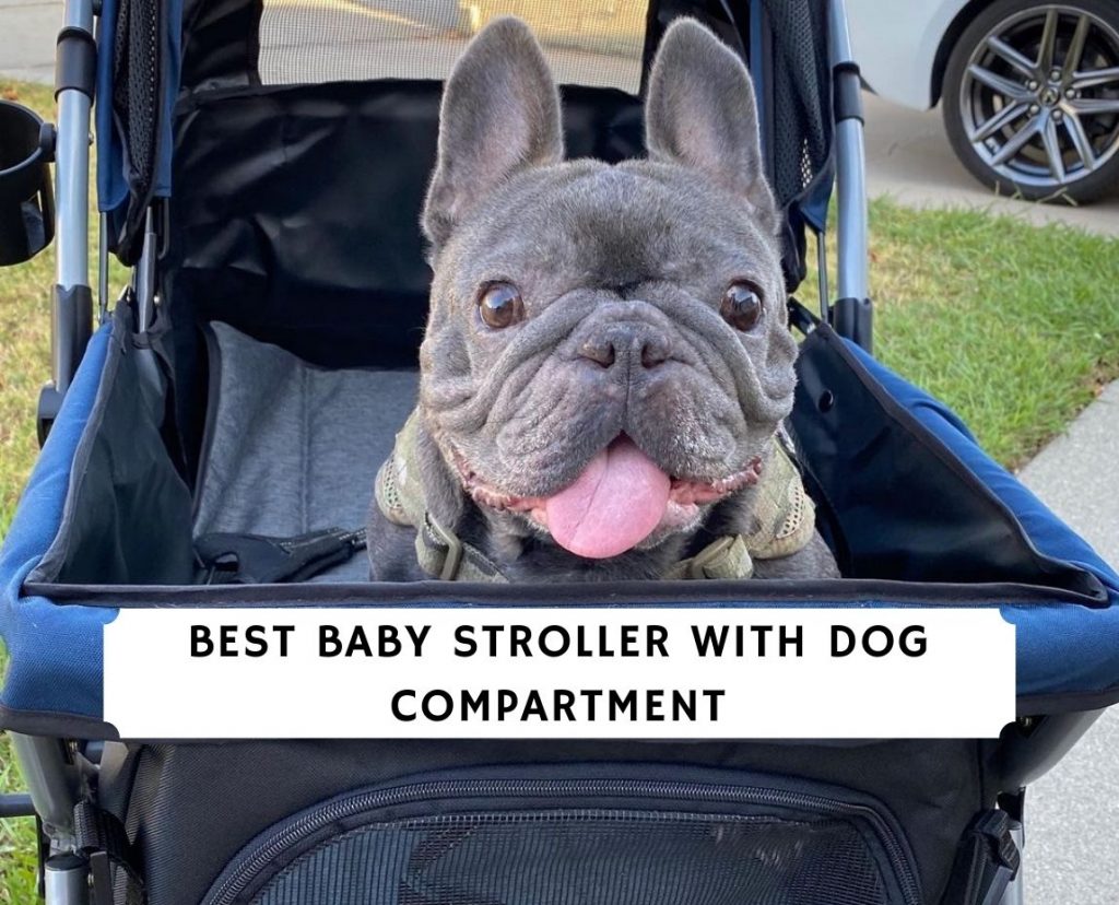 Baby pram 2025 with dog compartment