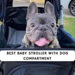 Best baby Stroller with Dog Compartment