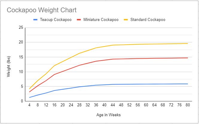 Cockapoo Puppy Growth Chart