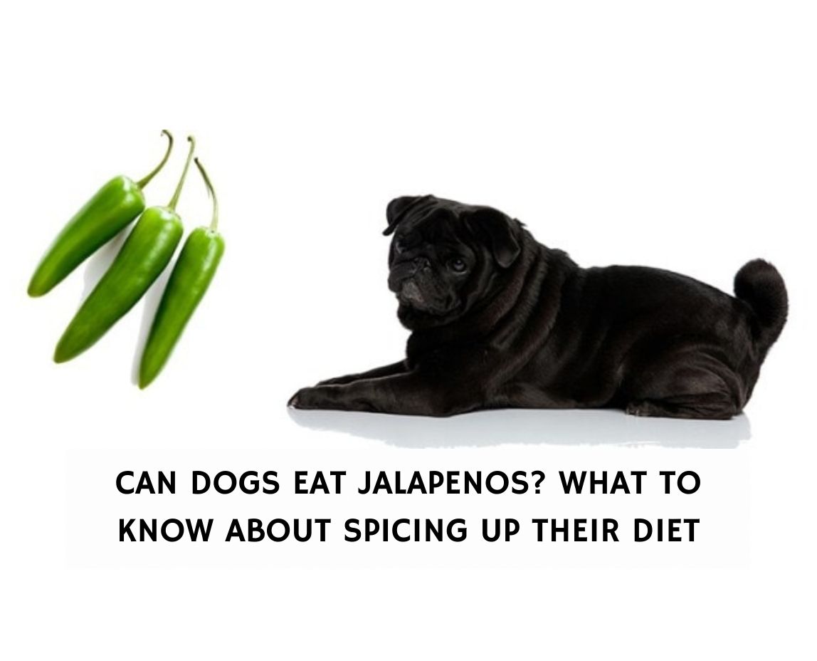 can you give a dog a jalapeno