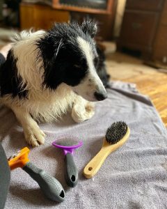 Best brush for a border collie sale