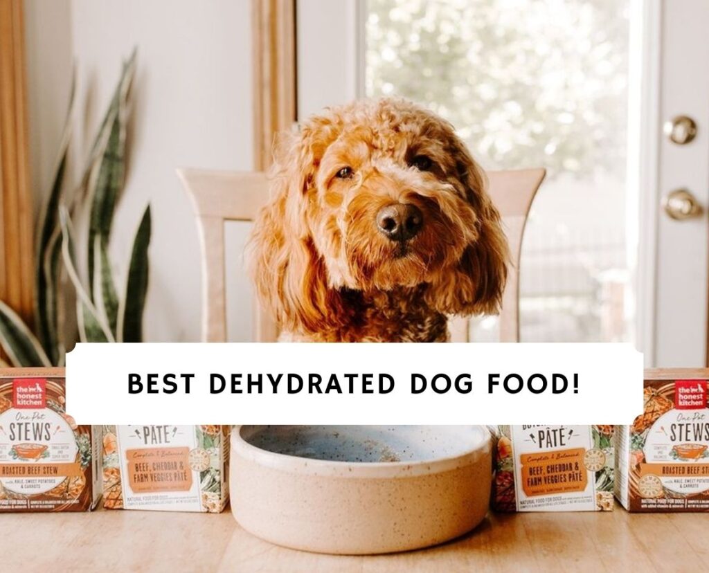 best dehydrated dog food 2021