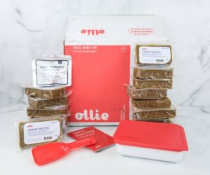 Ollie Dog Food Cost