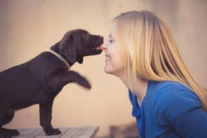 What does it mean when your dog licks your arm