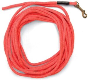 SportDOG Brand Orange Check Cord - 30 Feet Long - Strong but Lightweight Training Tool $24.95