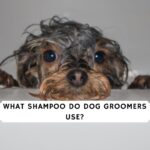 What shampoo do dog groomers use_