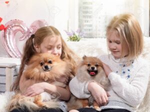 are pomeranians good dogs for kids