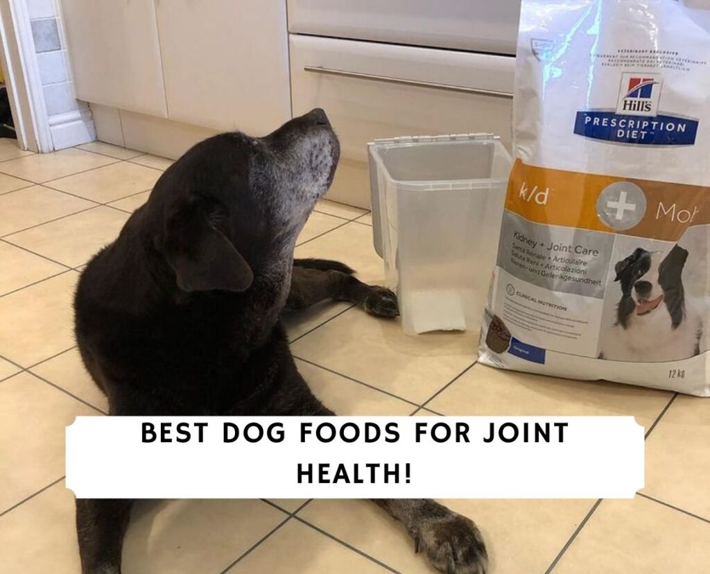 Joint Care For Dogs Food - Amazon De Hip Joint Care For Dogs Hip Joint