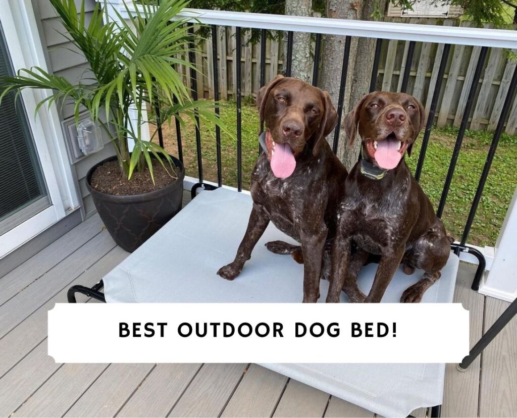 Best Outdoor Dog Bed